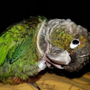 Meet your Posher, Beth